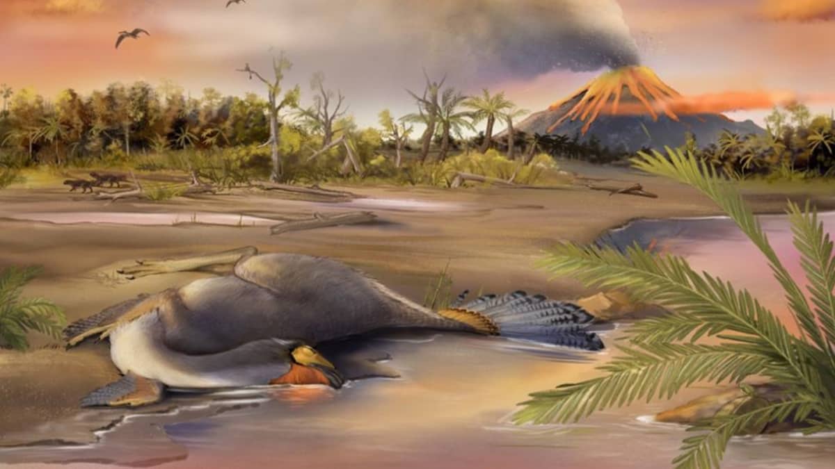 Rantavedessä makaava lintua muistuttavan dinosauruksenraato. Taustalla purkautuu tulivuori. 