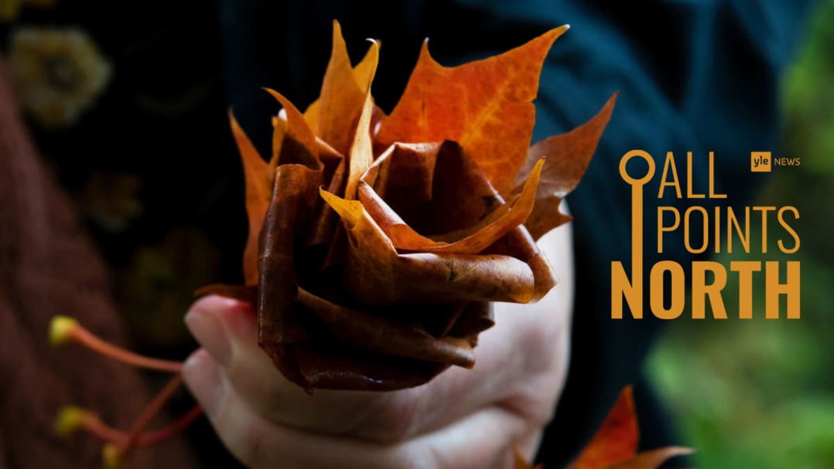 Photo of hand holding bunch of autumn leaves featuring the All Points North podcast logo.