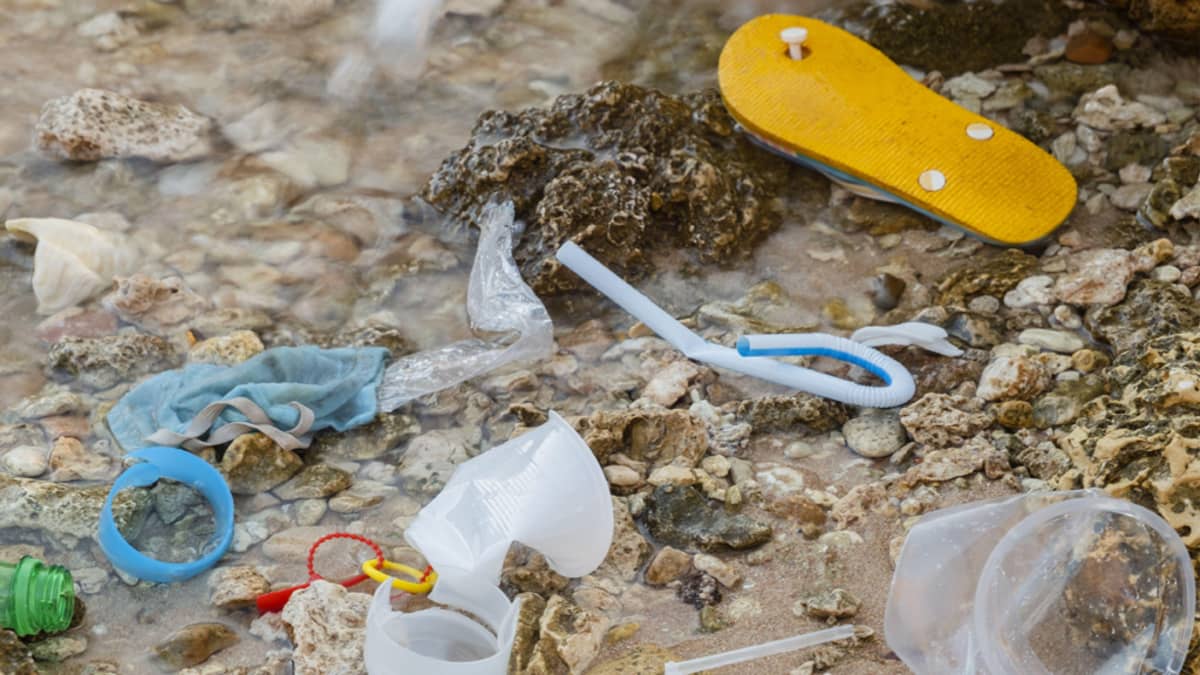 Muoviroskaa rantavedessä: maski, juomapillejä, muki, pullo, muovipusseja, muovisandaali.