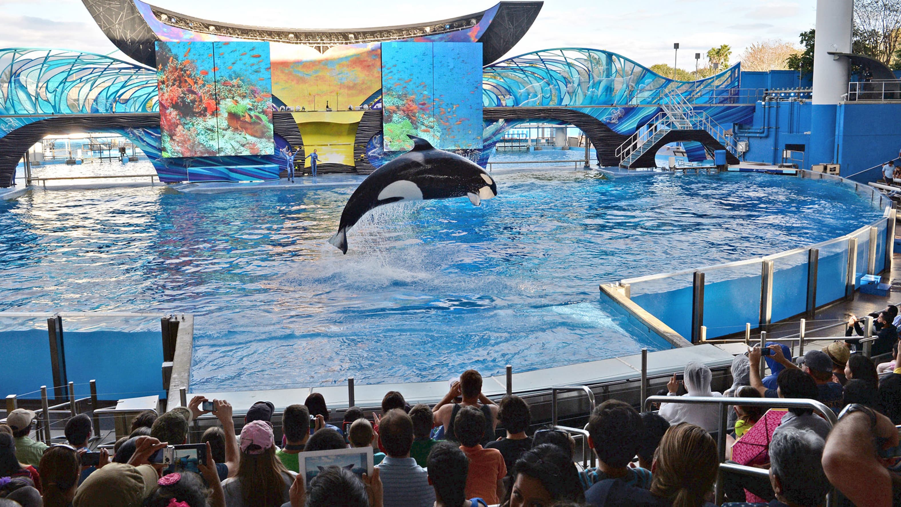 Thomas Cook ends ticket sales to attractions with captive dolphins