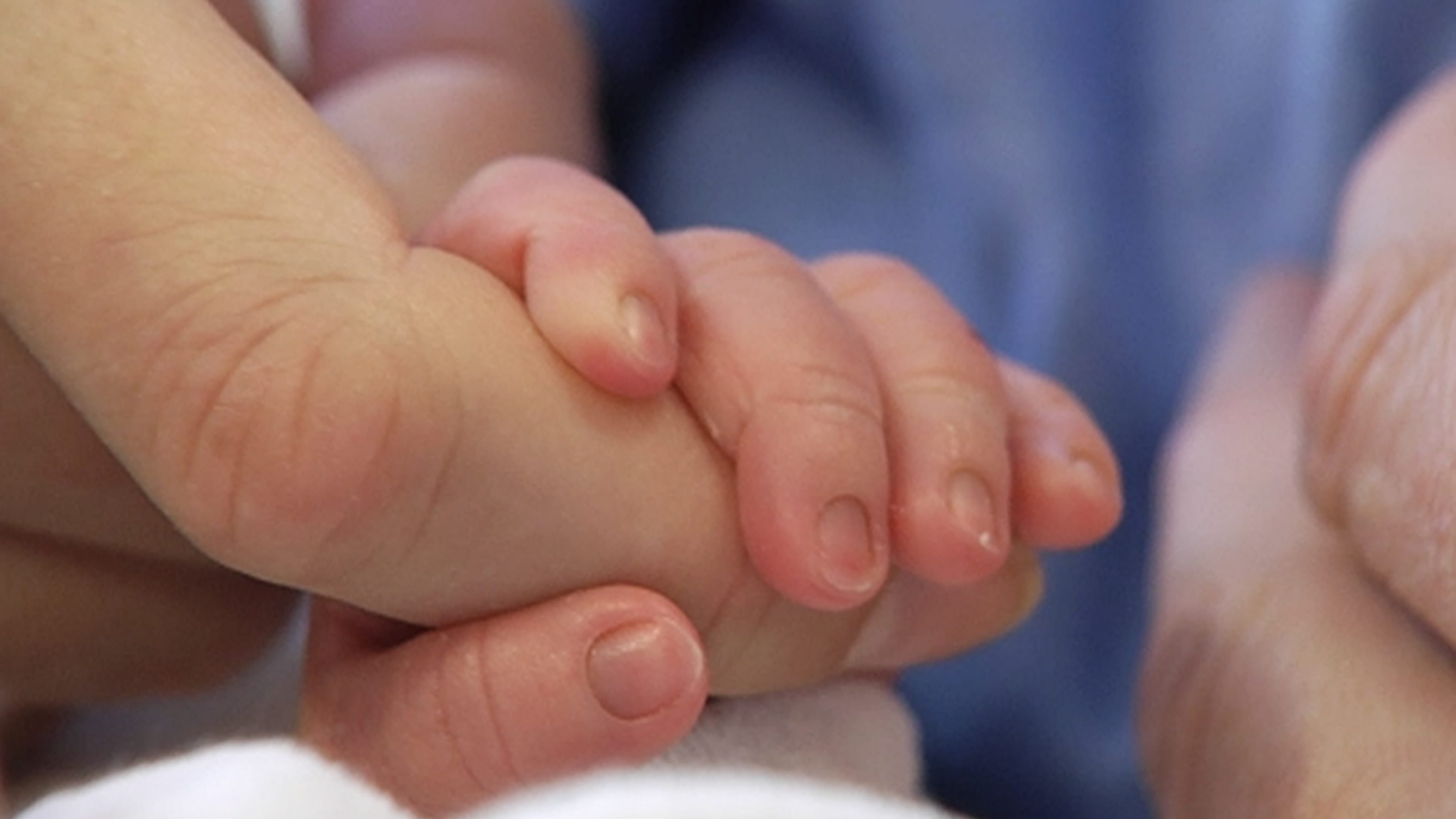В клиниках острая нехватка финской спермы – ежегодно сотни детей рождаются  при помощи донорских сперматозоидов или яйцеклеток | Yle