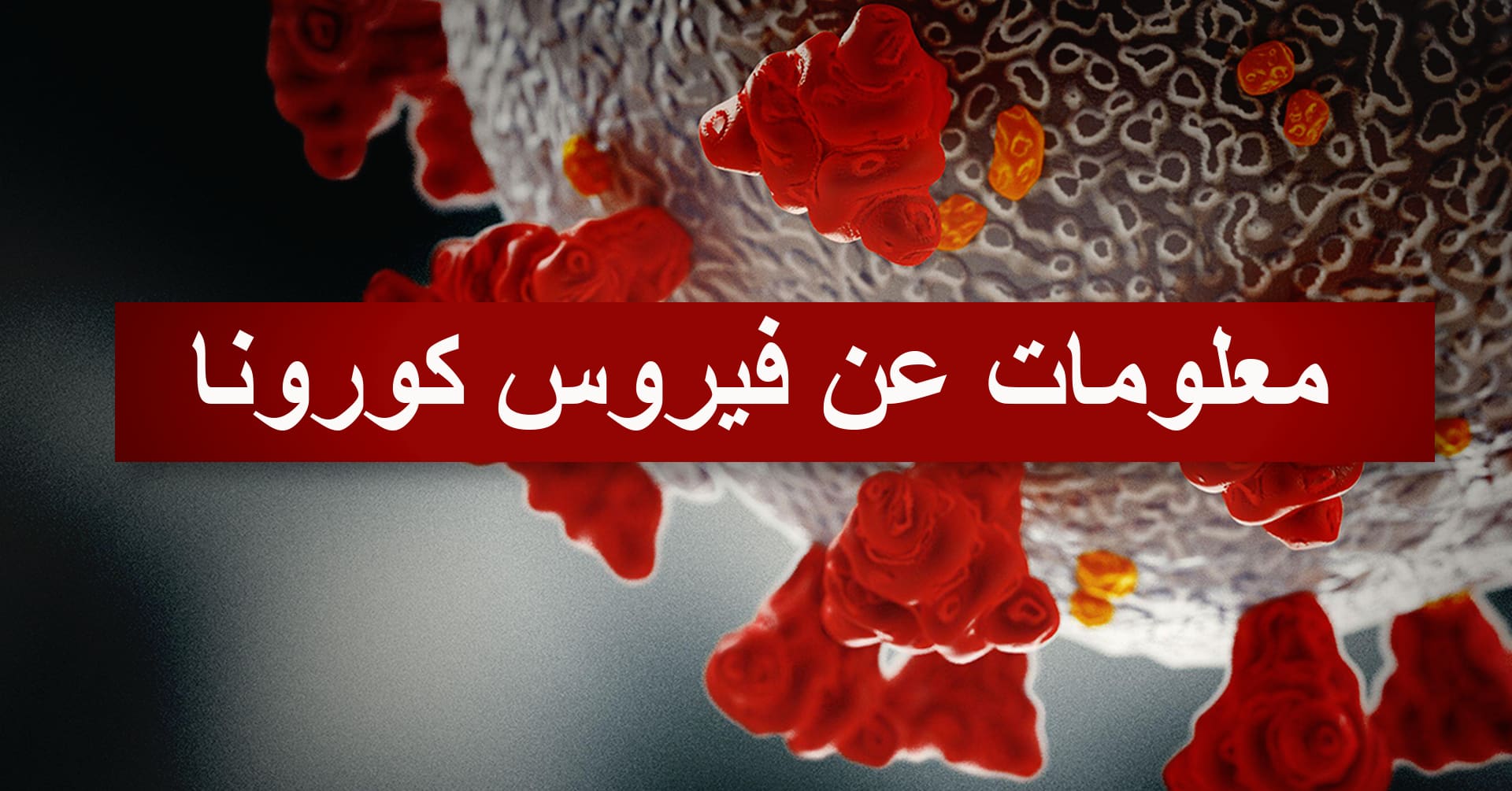معلومات عن كورونا باللغة العربية Yle Uutiset Yle Fi