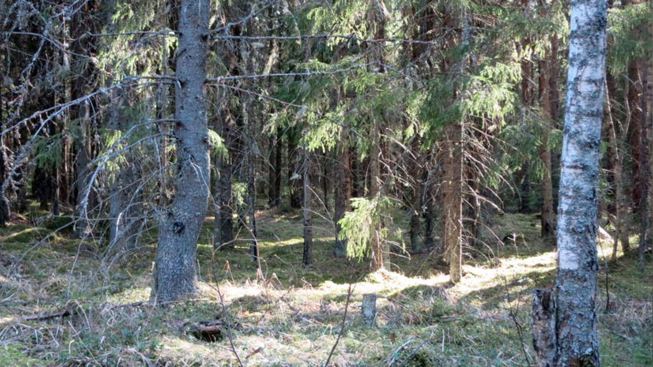 Vesurin käyttö Vesurin käyttö