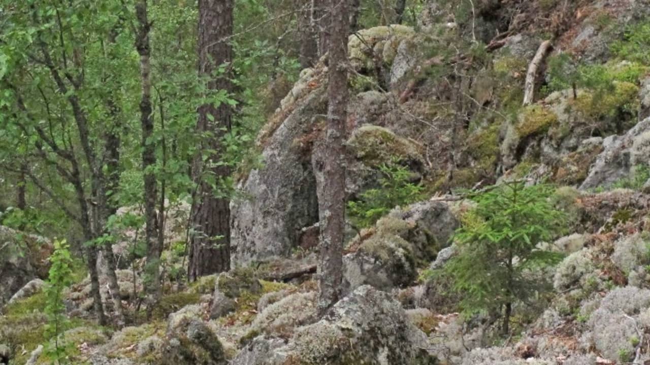 Vesurin käyttö Vesurin käyttö