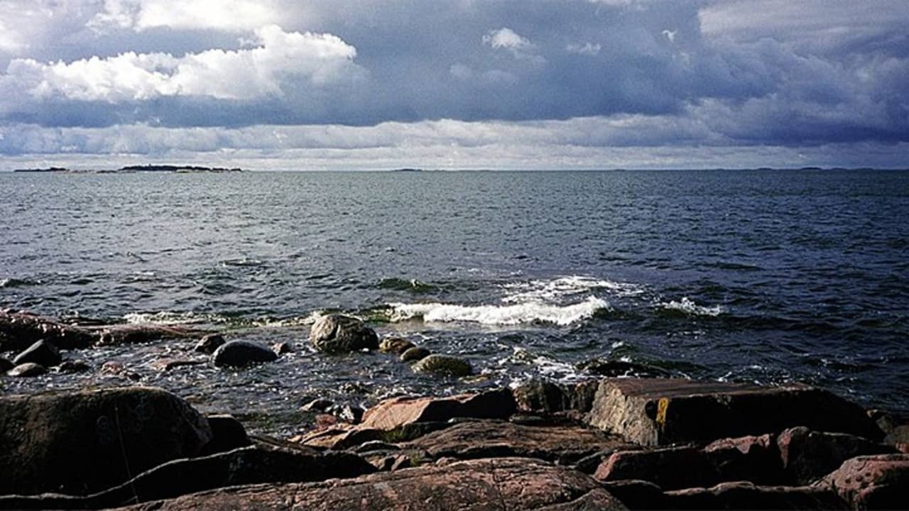Puheen Aamu Juha Nurminen Sinilevamassa Heratti Minut Pohtimaan Mita Voitaisiin Tehda Audio Arenan