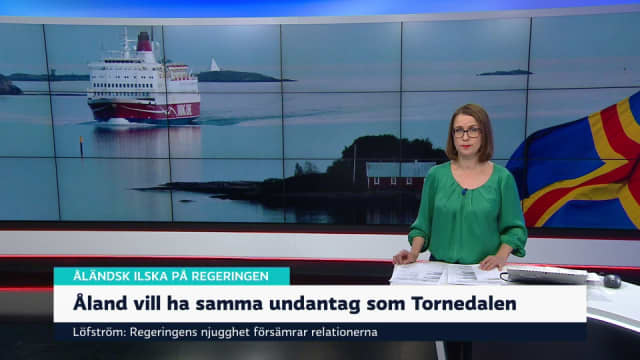 Novosti Yle Toimittajat