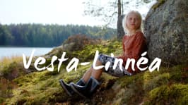 Vesta-Linnéa