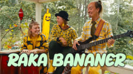 Raka Bananer