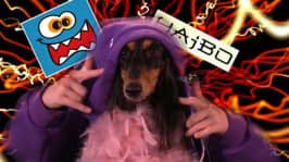 Dogvlog