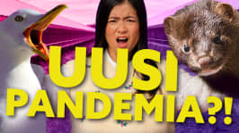 Yle Mix - uutisia lapsille