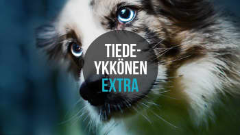Tiedeykkönen Extra