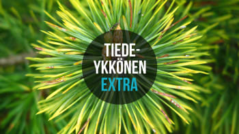 Tiedeykkönen Extra