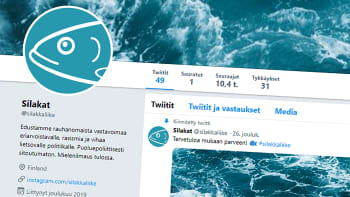 Katleena Kortesuo: “Silakkaliike on kuin tuore avopari, joka muuttaa yhteen ja me nähdään tämä kaikki livenä”