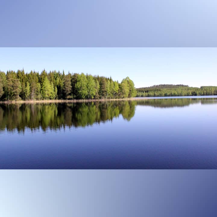 Radio Suomi Kuopio Esittelyssa Etela Konneveden Kansallispuisto Audio Areena