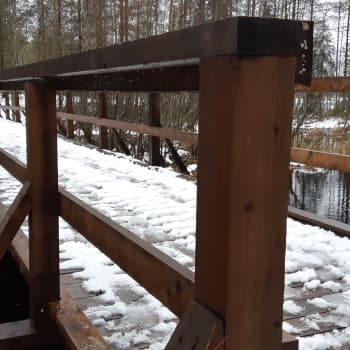 Paltasen esteetön suopolku palkittiin Pieksämäellä