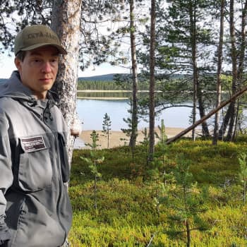 Kolttasaamelaisten metsätarinoita