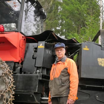 Myrskyjä ja metsähommia