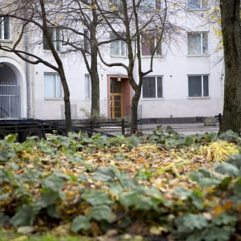 Asunnottomuudesta selviytynyt Kati: se oli juuretonta vaeltelua paikasta toiseen