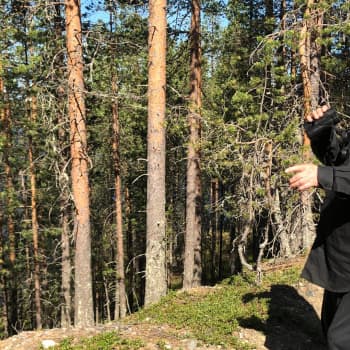 Koillismaan harjumaisemat
