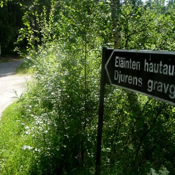 Kaj Ahlstrand vaihtoi alaa ja perusti eläinten tuhkaamon Kokkolaan