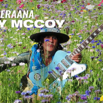 Andy McCoy vieraana: Vihaan rasisteja, kyttiä ja organisoituja kriminaaleja