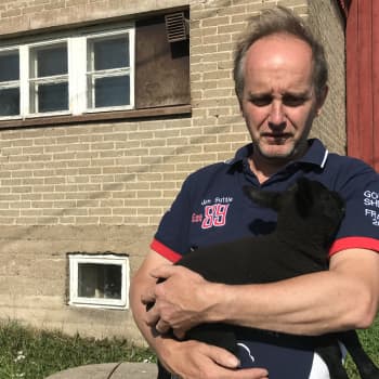 Lampaankerinnän MM-kisat keräsivät 60 000 katsojaa - Jan Suttle Sastamalasta johti Suomen joukkuetta