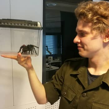 Teemu Siimes ei saanut pikkupoikana tuoda ötököitä kotiin - nyt niitä on parikymmentä lemmikkinä