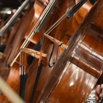 Kamarimusiikkia RSO:n muusikoiden esittämänä