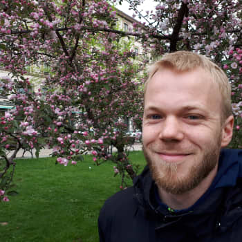 Mehiläisten perimää selvitetään ensimästä kertaa Suomessa - Keski-Suomessa mehiläishoidon suosio on kasvussa