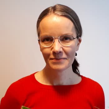 Miksi EU-puheenjohtajuudesta on puheenjohtajamaalle niin vähän hyötyä, dosentti Hanna Ojanen?