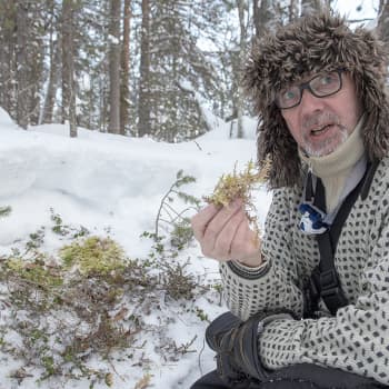 Kulttuurimatka pakkastuulen pieksämään tunturiin