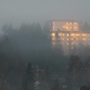 Säilyykö luonto kaupungeissa?