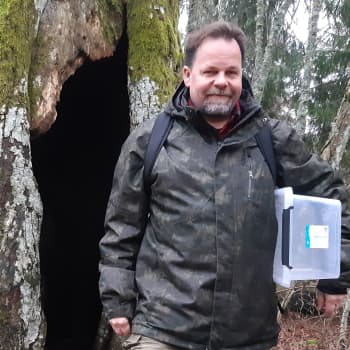 Ontoissa puissa on elämää