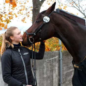 Lida Haddas tävlar i Helsinki International Horse Show