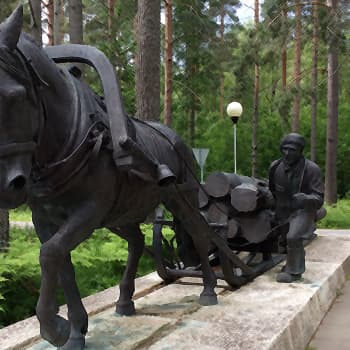 Metsämuseosäätiö täytti 30 v