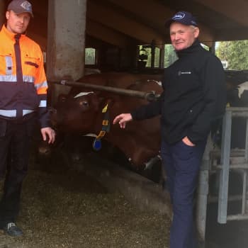 Roimolan maitotilalla uskotaan tulevaan