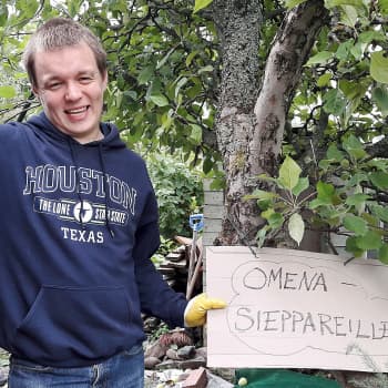 "Tuntuu hyvältä päästä duunin syrjään kiinni" - Omenankeruusta töitä vaikeasti työllistyville