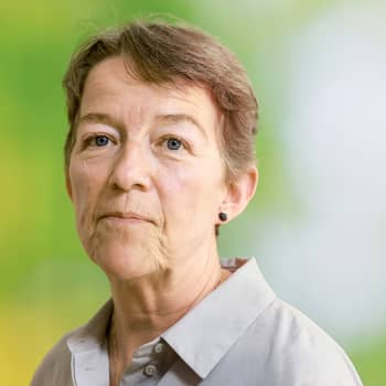 Janina Orlov 2018