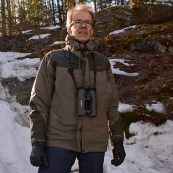 Metsäradio.: Metsäpurojen kohinaa huhtikuussa