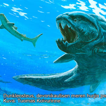 Aspekti: Aikamatka elämän historiaan!