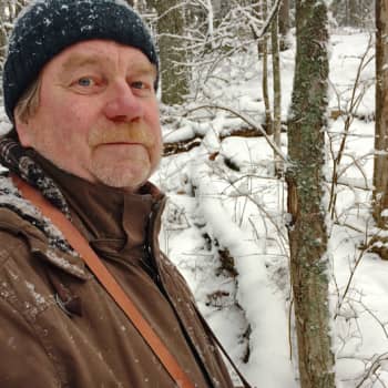 Metsäradio.: Lahtelaisessa tikkametsässä