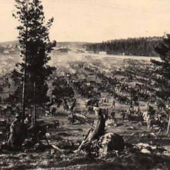 Sisällissota 1918 - punaiset muistot: "Marot kuorittiin keitosta pois ja syötiin" (Topias Teräskorpi, Pori)