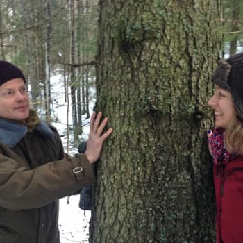 Metsäradio.: Puut ja mikrobit tarjoavat terveyttä