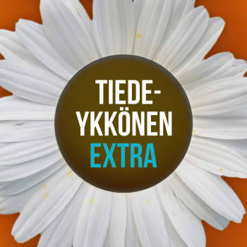 Onnellisuusharjoituksia 2: Valokuvan voima