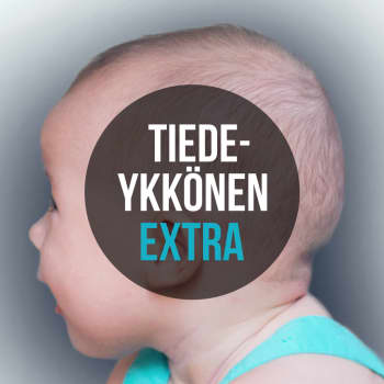 Aivojen kehitys: Sikiöaikana kehittyvät aistit