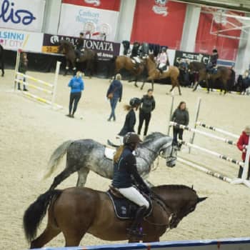 YLE Helsinki: Helsinki Horse Shown eläinlääkintäryhmä huolehtii kilpahevosista koko kisaviikon ajan