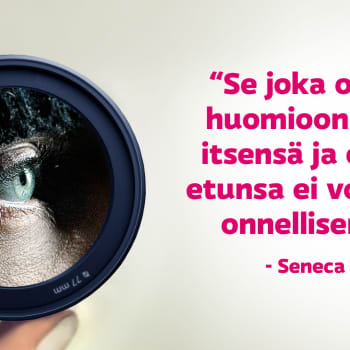 Laajakulma: Mikä johtaa mielettömyyteen?