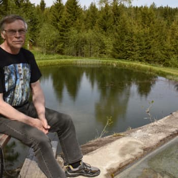 Metsäradio.: Riistakameran kuvissa näkyy pihan harvinaiset vieraat