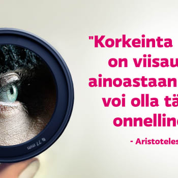Laajakulma: Mitä Aristoteles ajattelisi bruttokansantuotteesta?