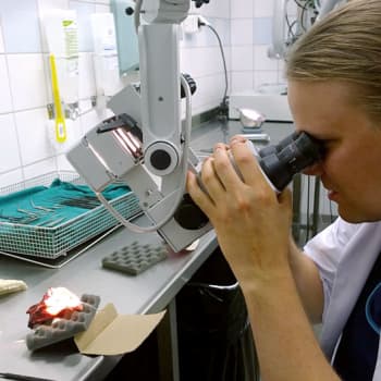 Aspekti: Mikrokirurgia: ammattitaitoiset ja turvalliset kädet